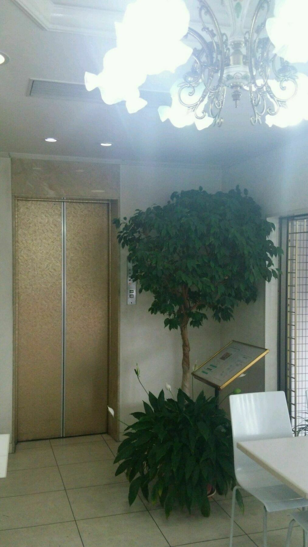 Hiroshima Rich Hotel Exterior foto